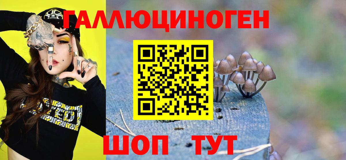 Псилоцибиновые грибы Cubensis  как найти закладки  Истра  Вход с VPN 